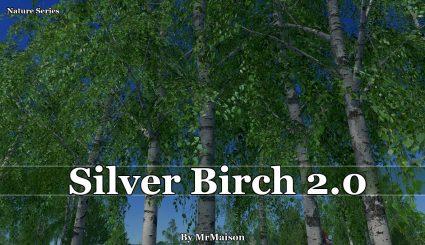 Мод Silver Birch 2 - береза для Cities Skylines