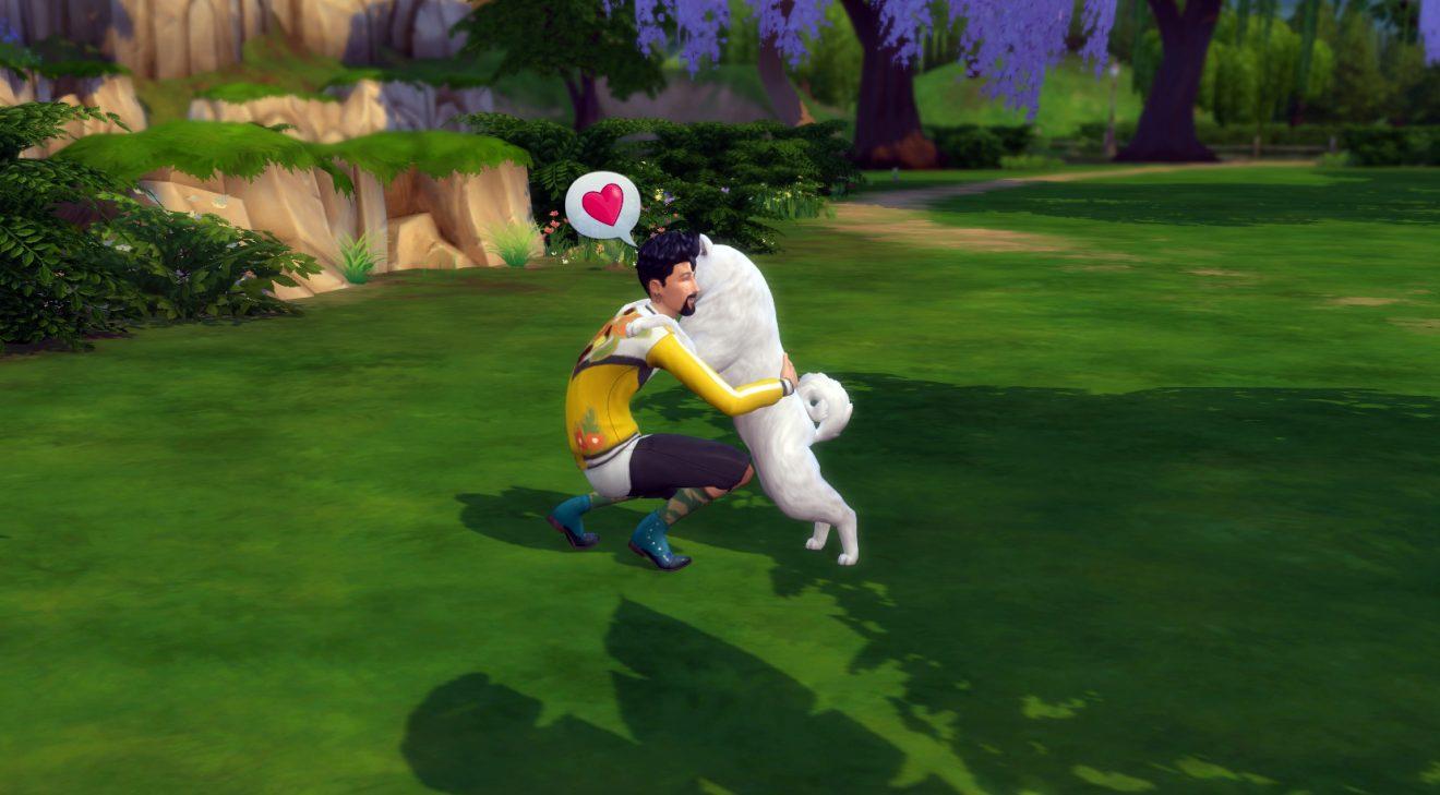 sims 4 wicked whims pets animations